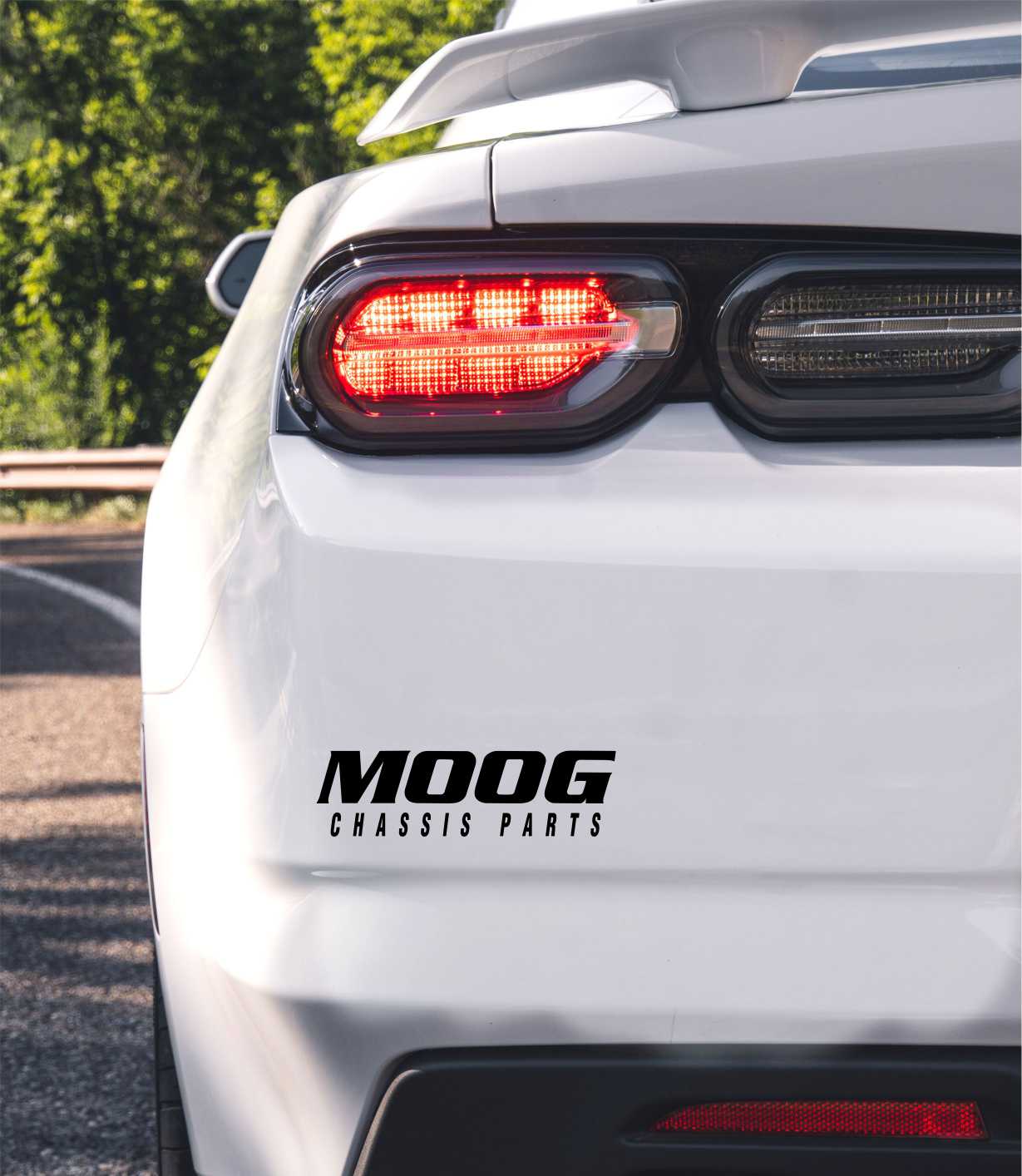 Moog Chassis decal, sticker
