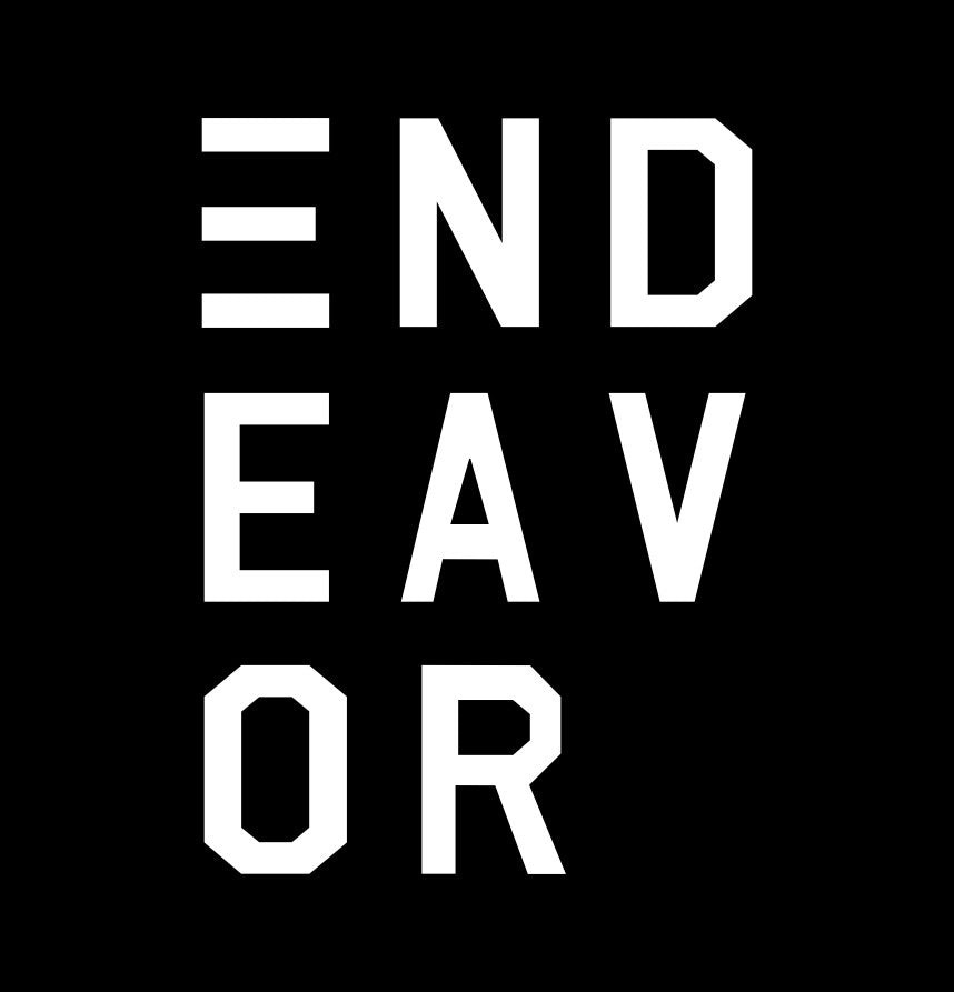 Endeavor Snowboards decal B