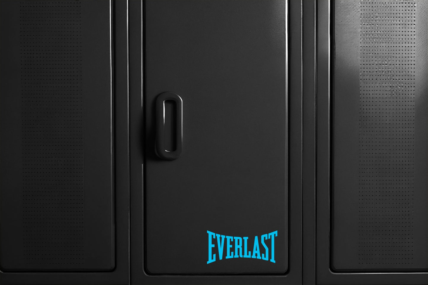 Everlast decal, sticker B
