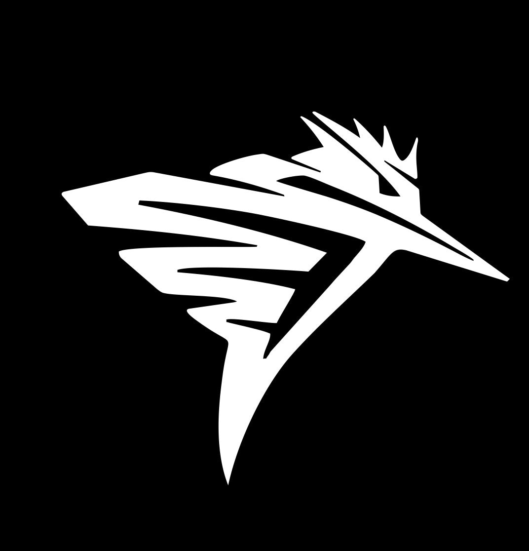 Kingfisher Boats decal, sticker C