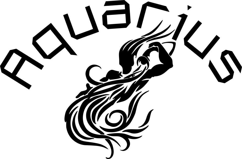 aquarius 2 zodiac decal - North 49 Decals