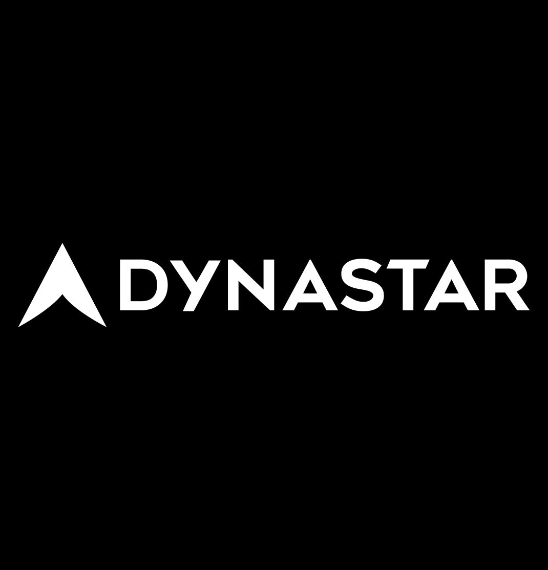 Dynastar decal, ski snowboard decal, car decal sticker