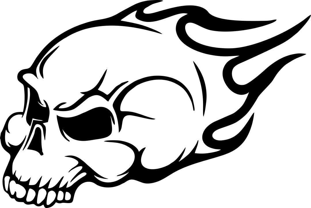 skull 42 skull biker decal - North 49 Decals