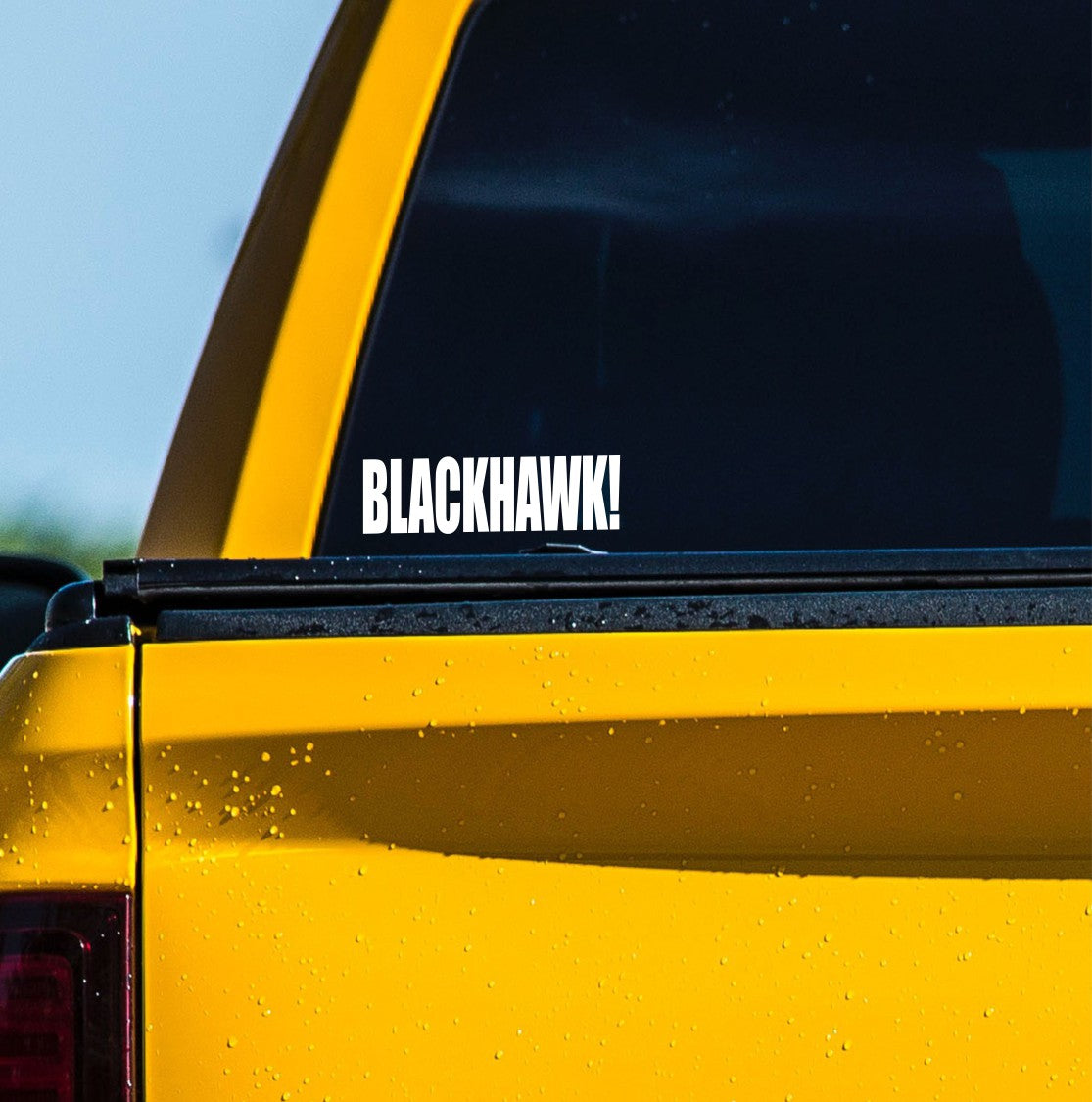 Blackhawk decal, sticker, firearm decal