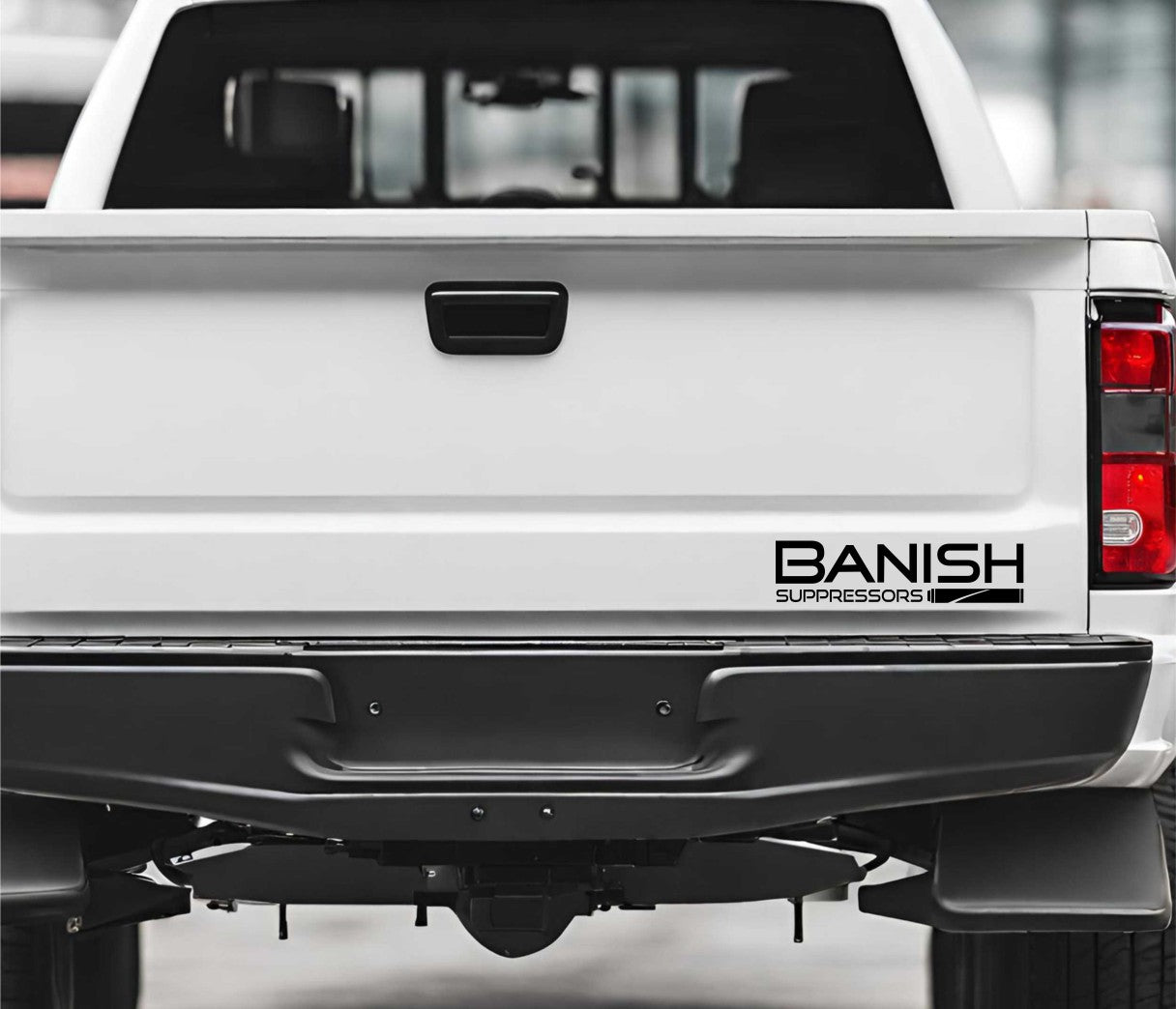 Banish Suppessors decal, firearm decal, car decal sticker