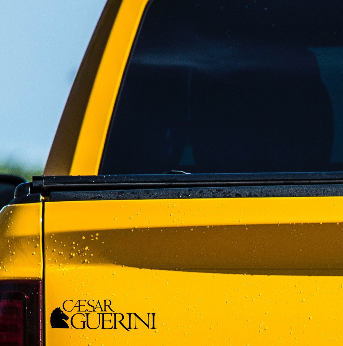 caesar guerini decal, firearm decal, car decal sticker