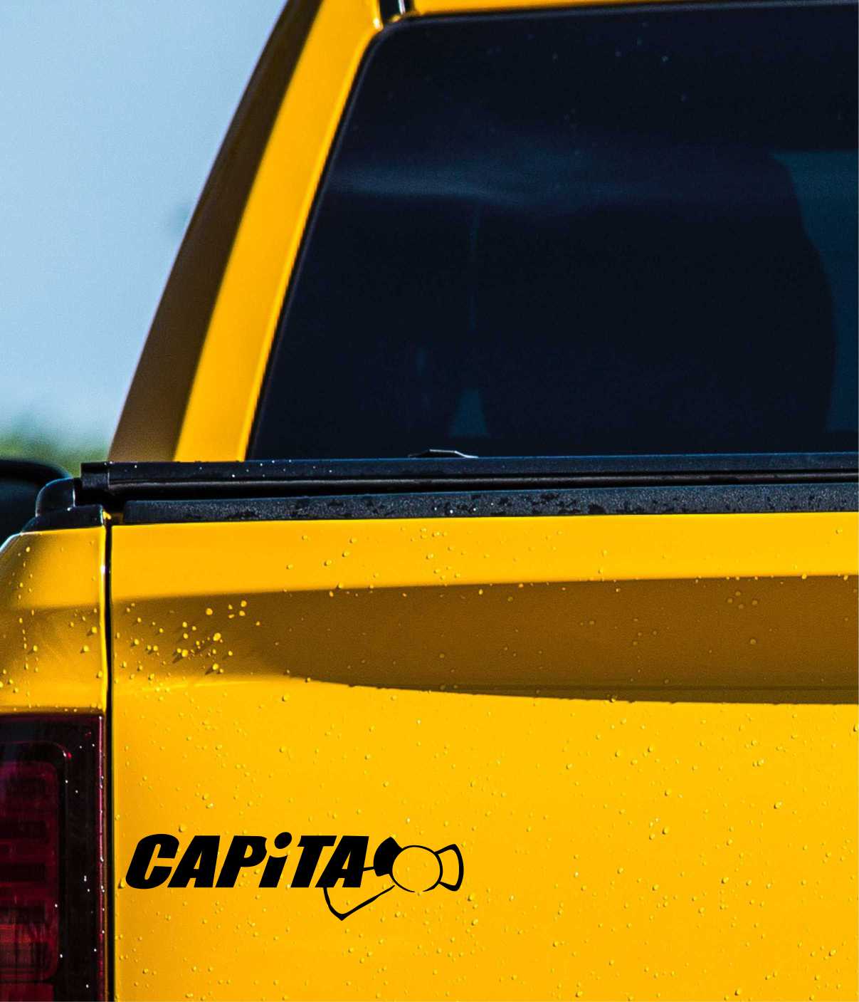 Capita Snowboards decal, sticker