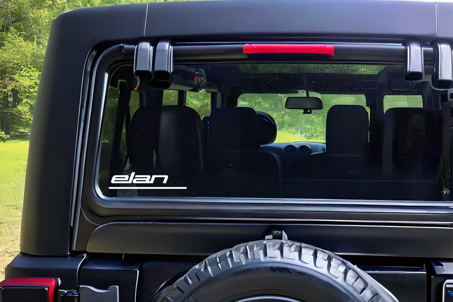 Elan Skis decal, sticker