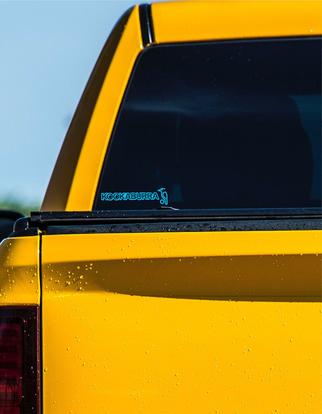 Kookaburra decal, sticker, car decal