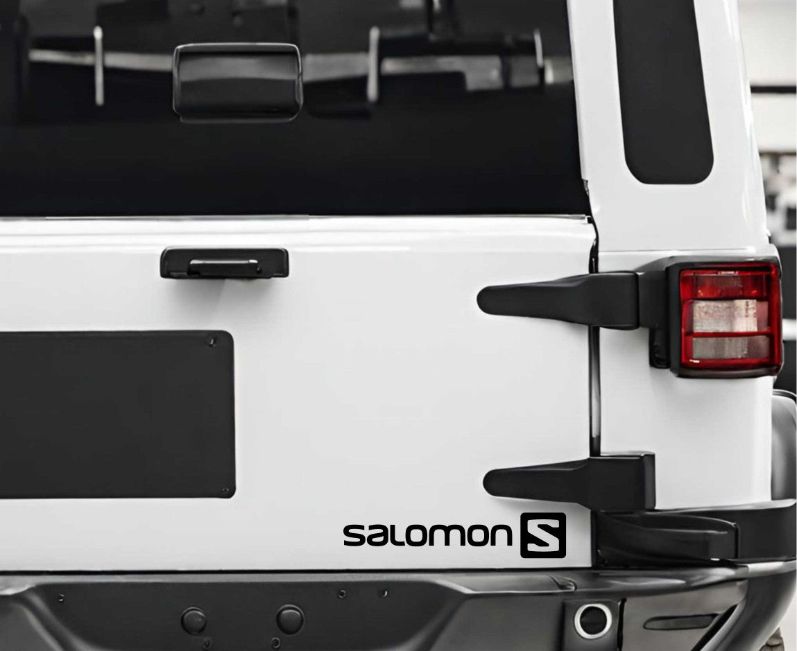 salomon decal, ski decal, car decal sticker