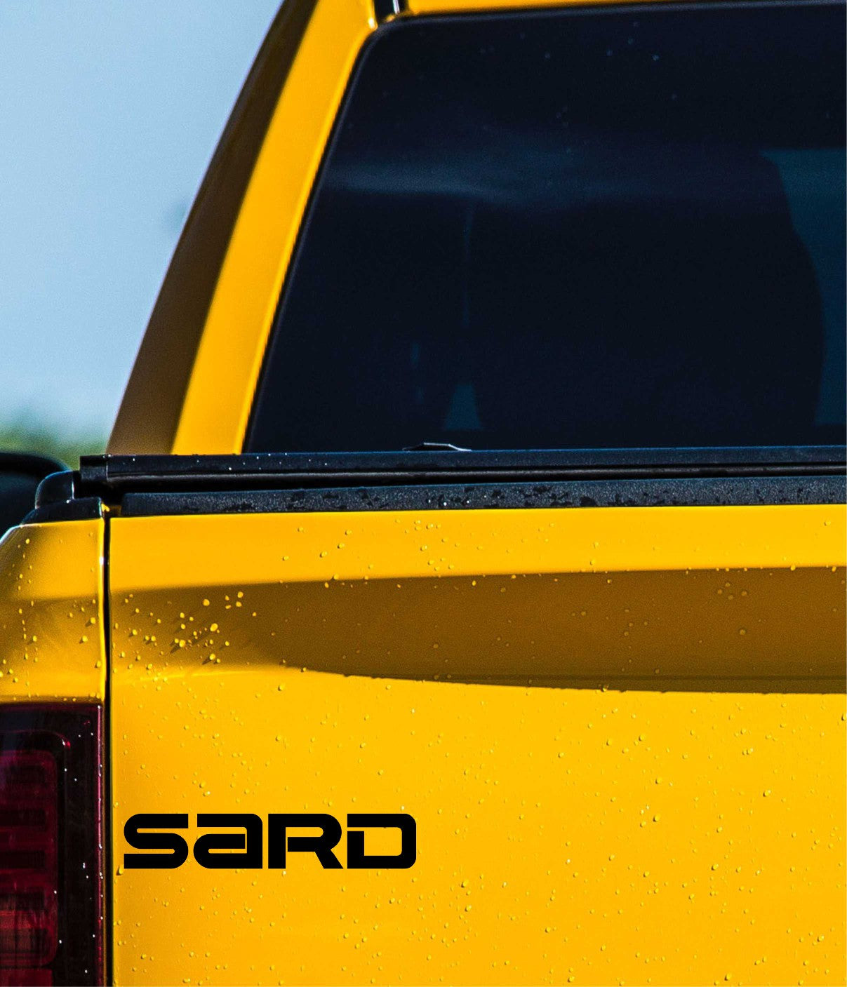 Sard decal, sticker