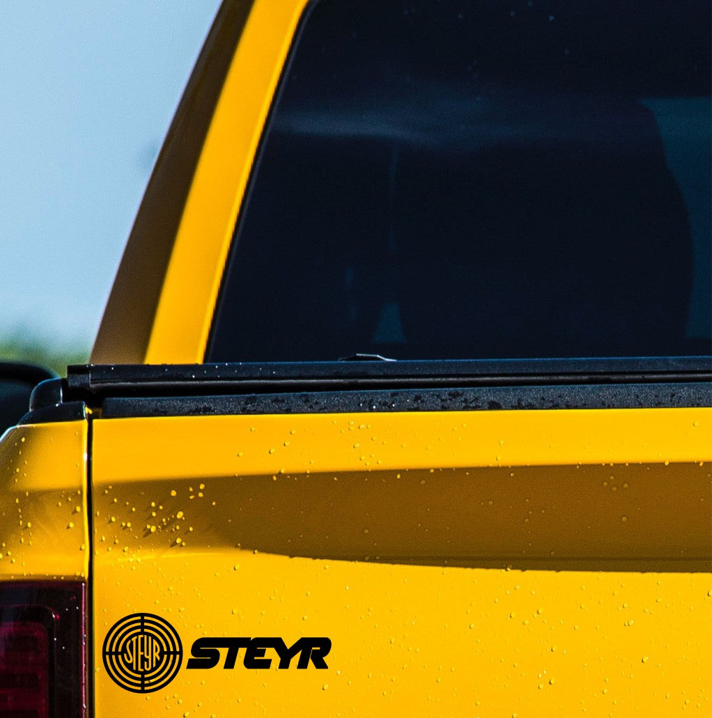 Steyr decal, sticker, firearm decal