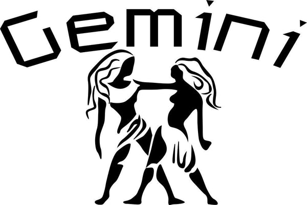gemini 2 zodiac decal - North 49 Decals
